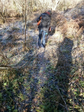  Excursão de inverno 